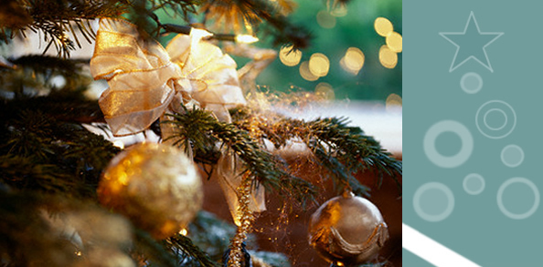 Click here to visit Methuen's Festival Of Trees